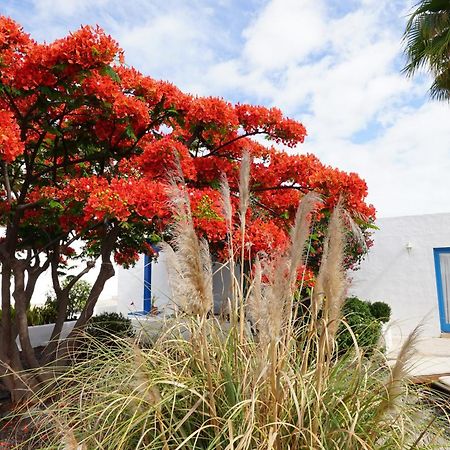 Timfay Corralejo Exterior foto