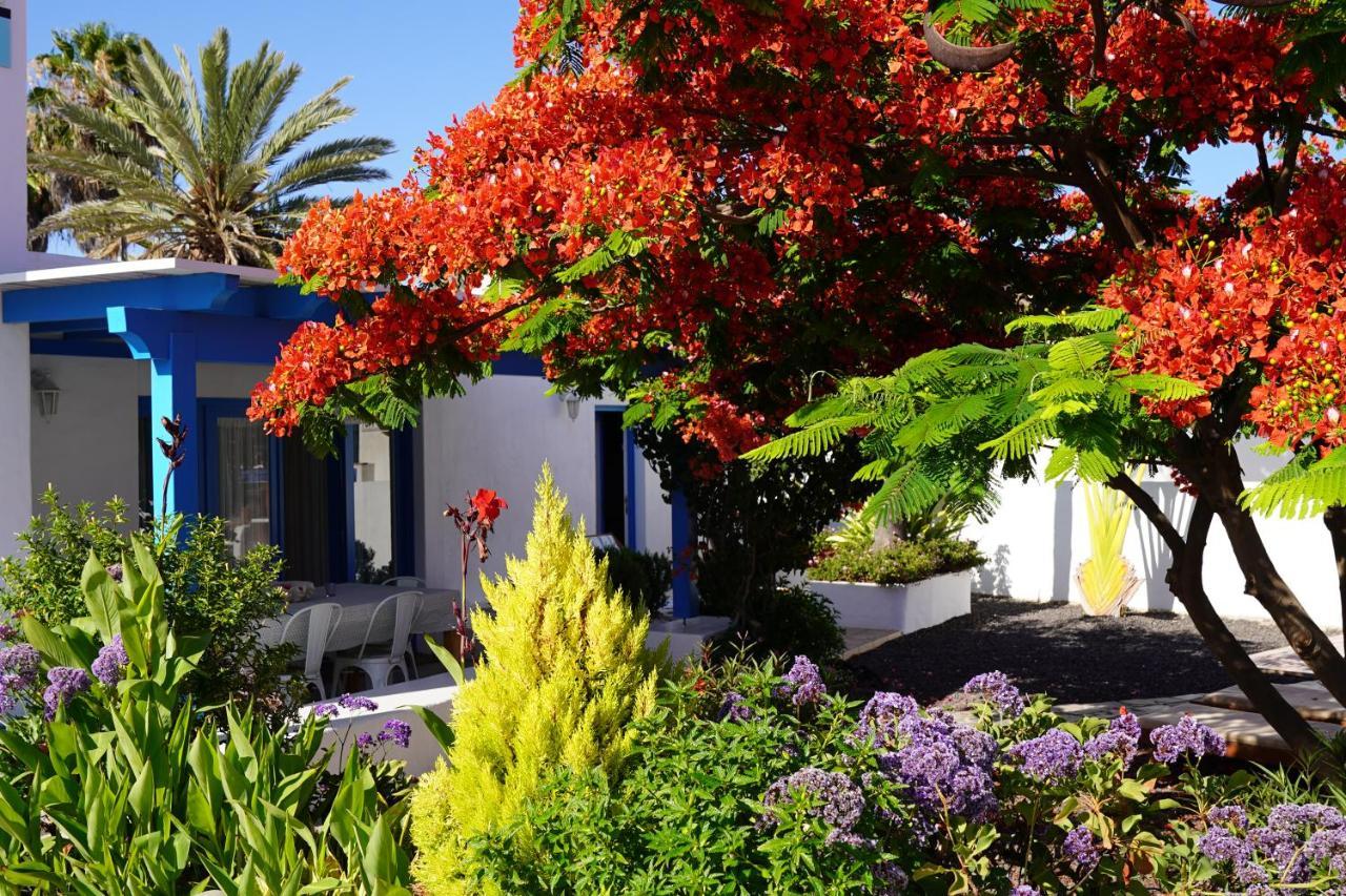 Timfay Corralejo Exterior foto