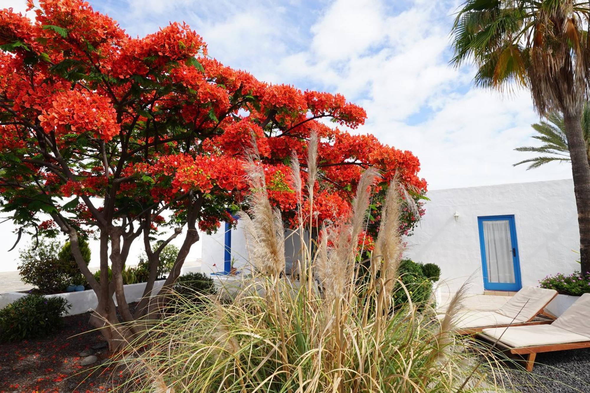 Timfay Corralejo Exterior foto
